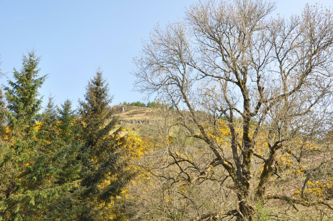 Sheep Fank Cottage Oban Esterno foto